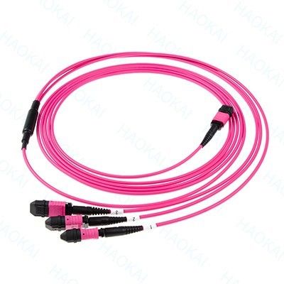 LC optische vezel patch cord 12core MPO Fan Out Om4 Fiber patch cables