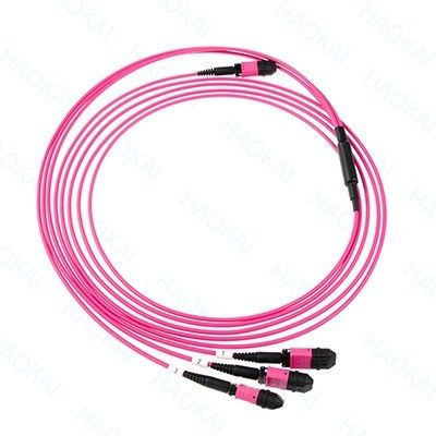 LC optische vezel patch cord 12core MPO Fan Out Om4 Fiber patch cables